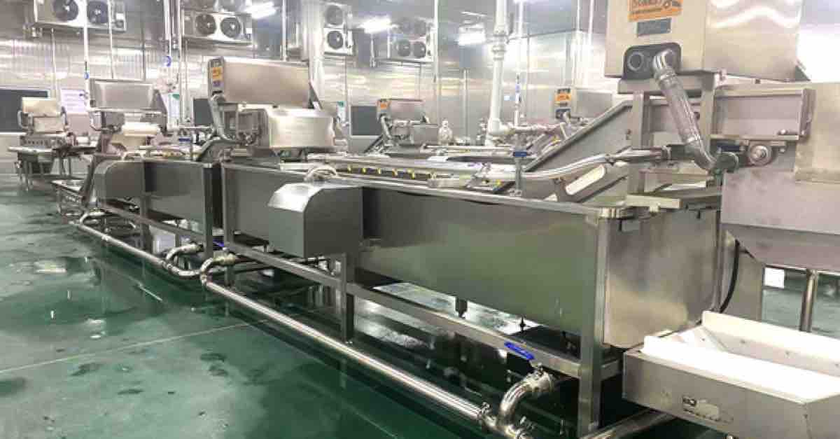 HUIYILAI washing and blanching production line