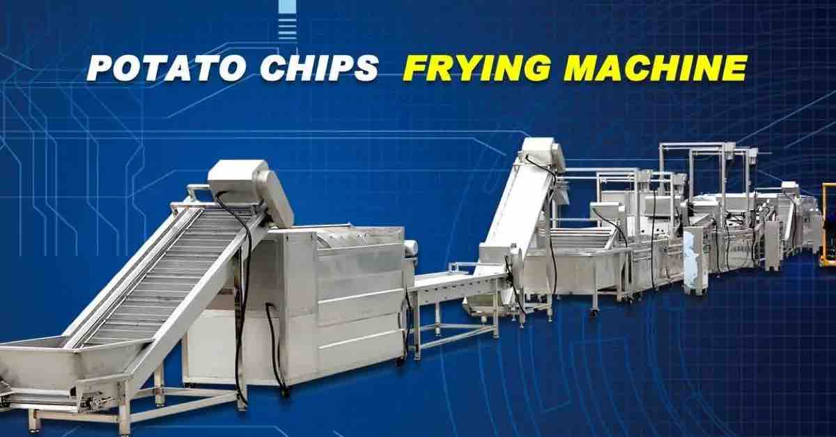 Automatic french fries and potato chips frying line
